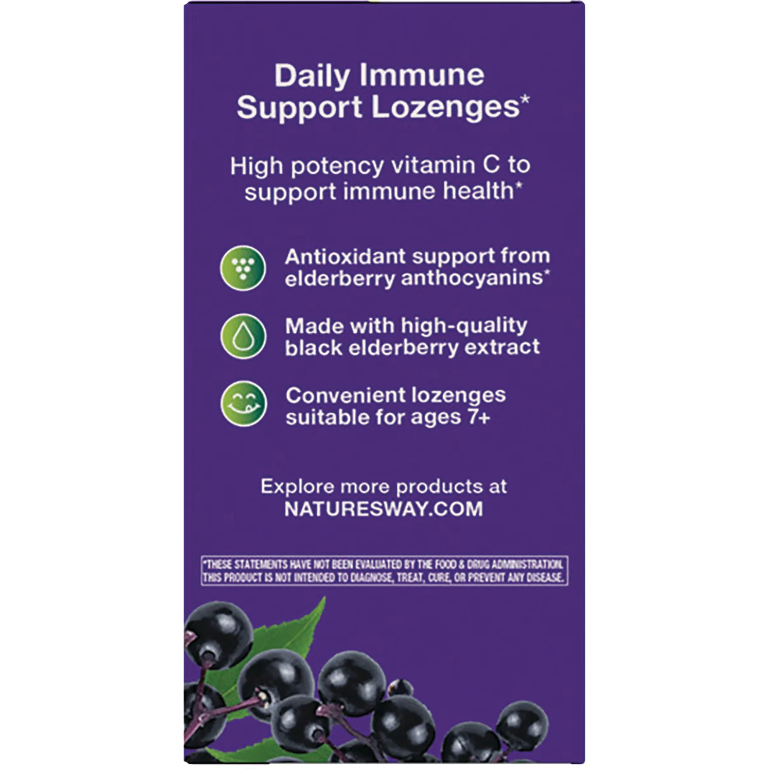 Sambucus Immune Lozenges - Image 3