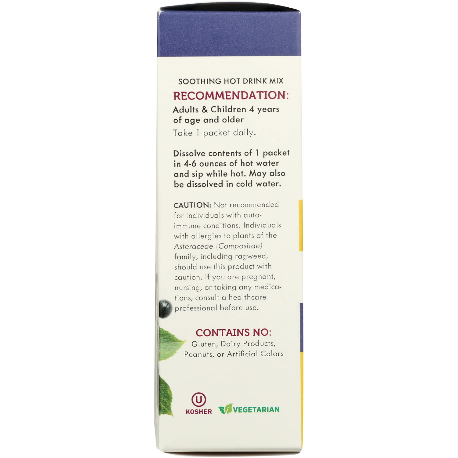 Sambucus Standardized Elderberry Hot Drink Mix - Honey Lemon-Berry - Image 3