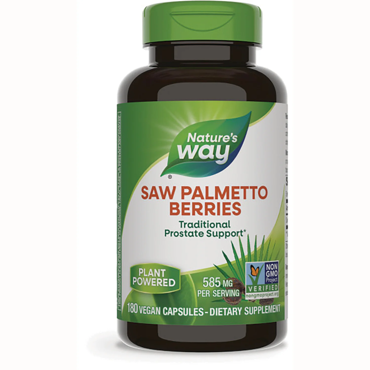 Saw Palmetto Berries - Image 2