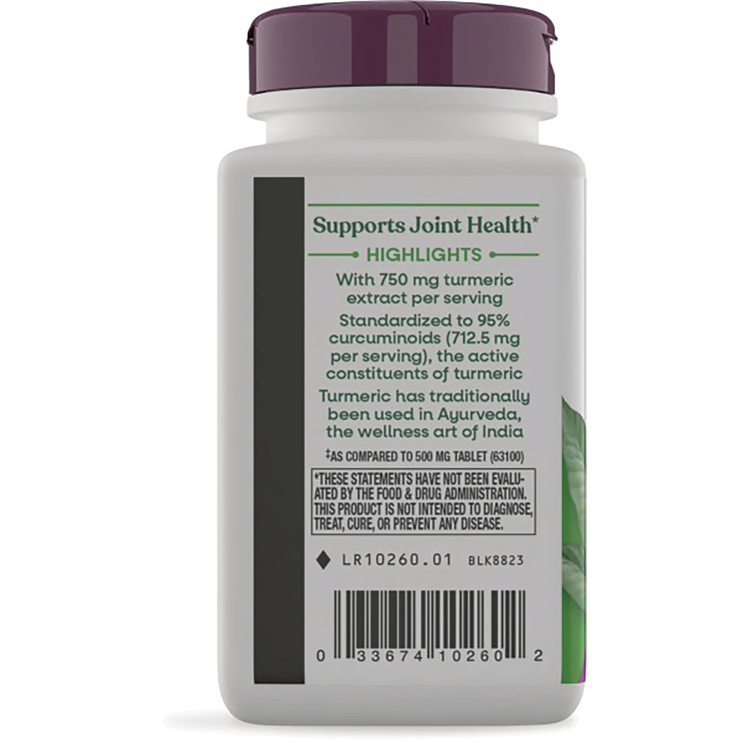 Max Potency Turmeric - Image 4