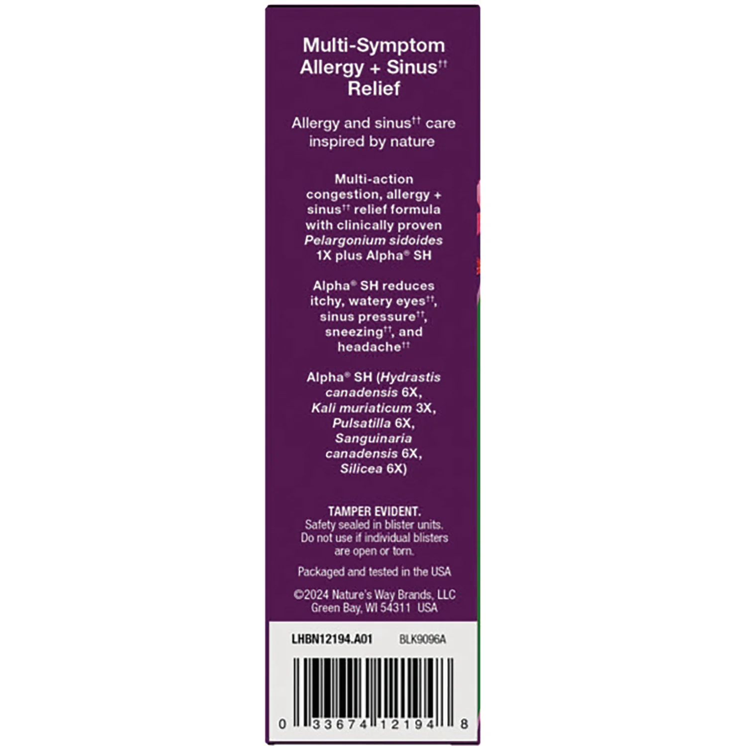 Umcka Allergy + Sinus Relief Chewables - Cherry - Image 4