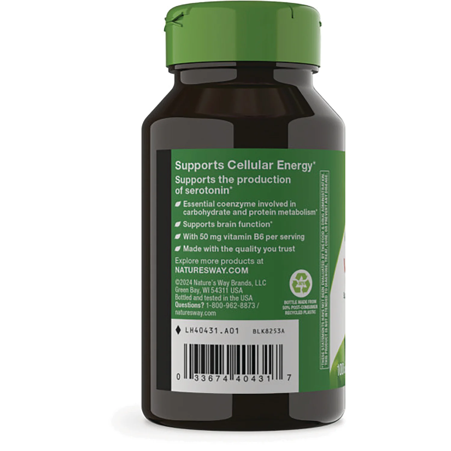 Vitamin B-6 High Potency - Image 3