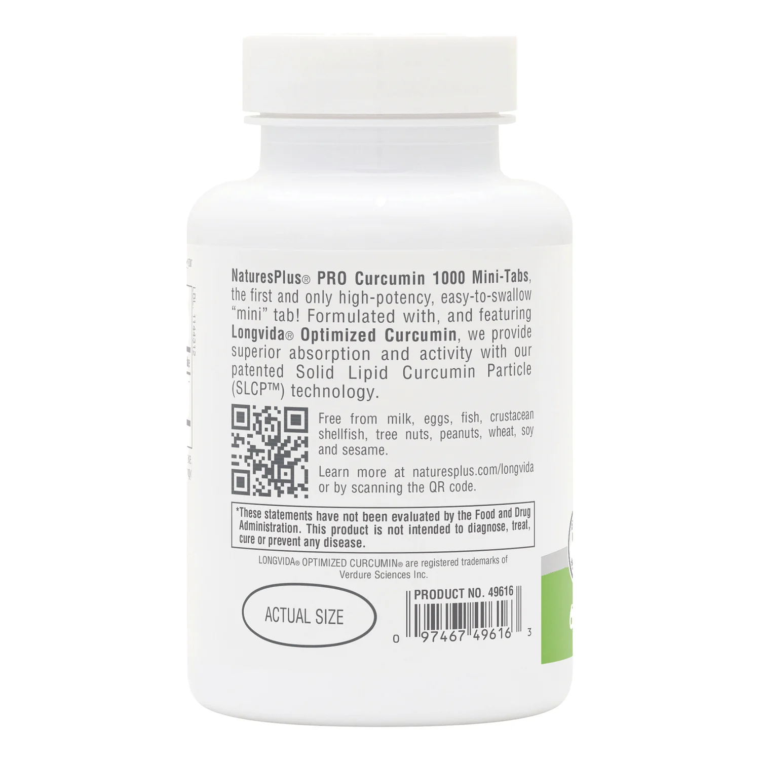 Longvida Curcumin - Image 3