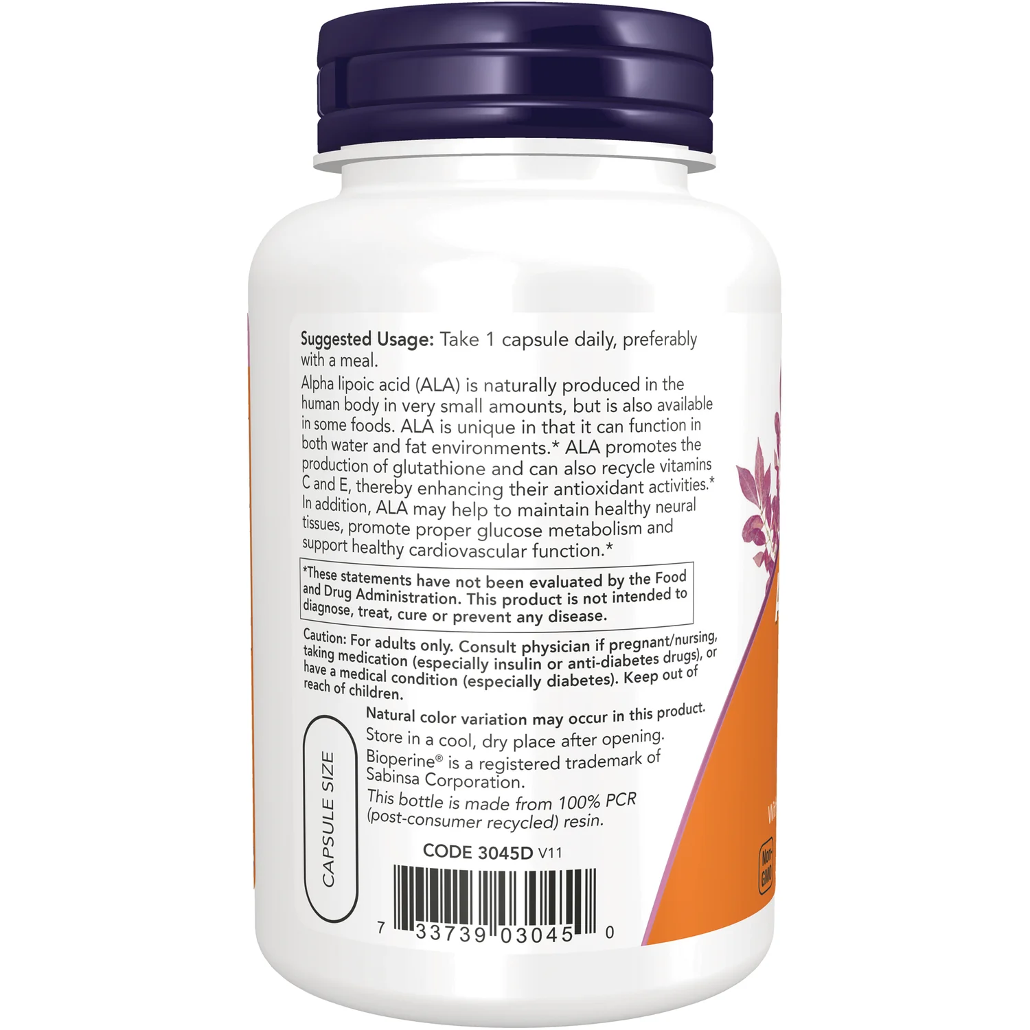 Extra Strength Alpha Lipoic Acid - Image 3