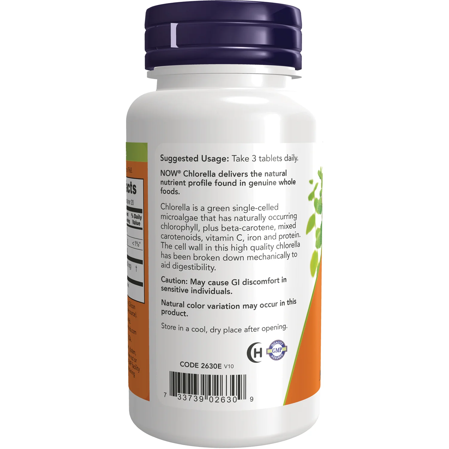 Chlorella - Image 3