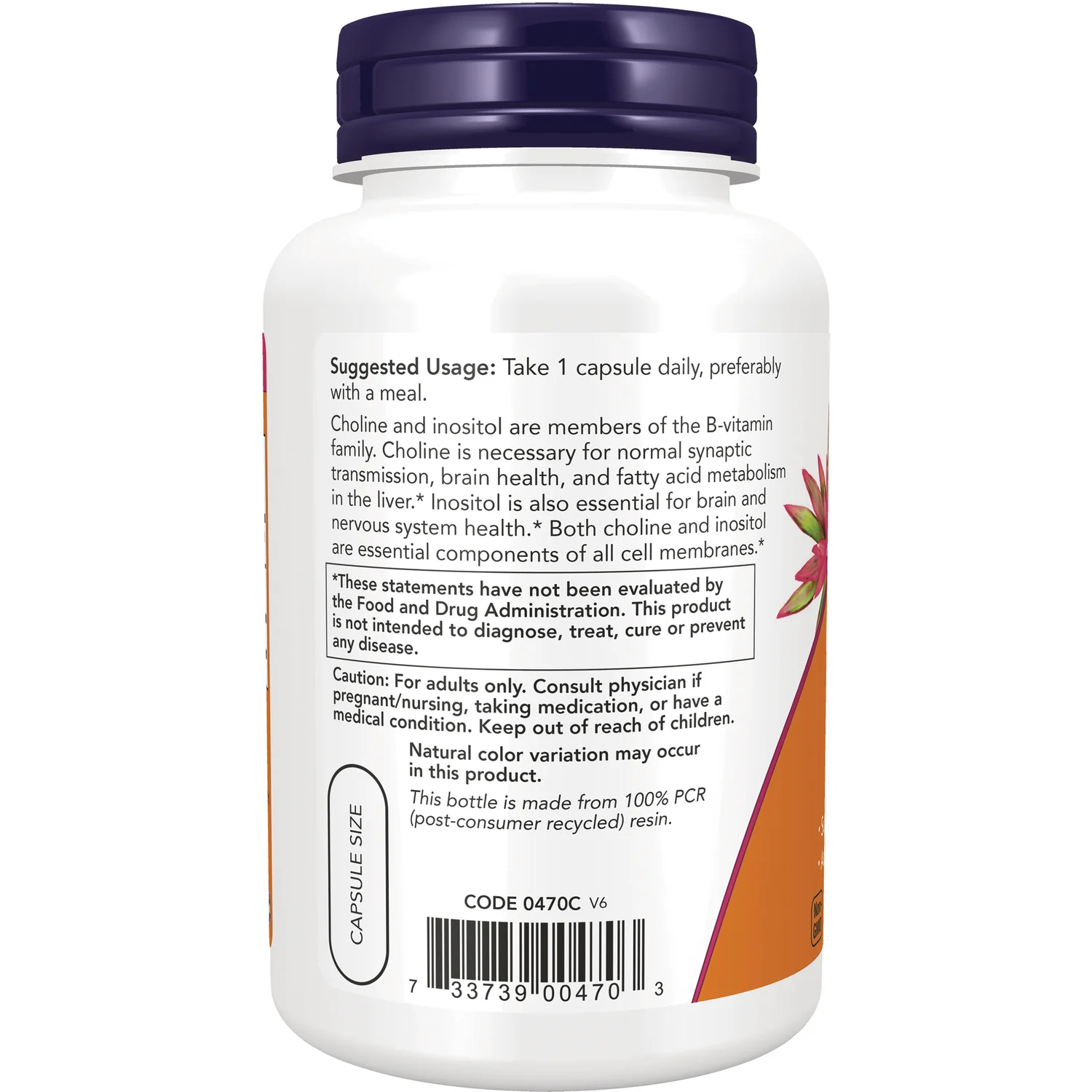 Choline & Inositol - Image 3