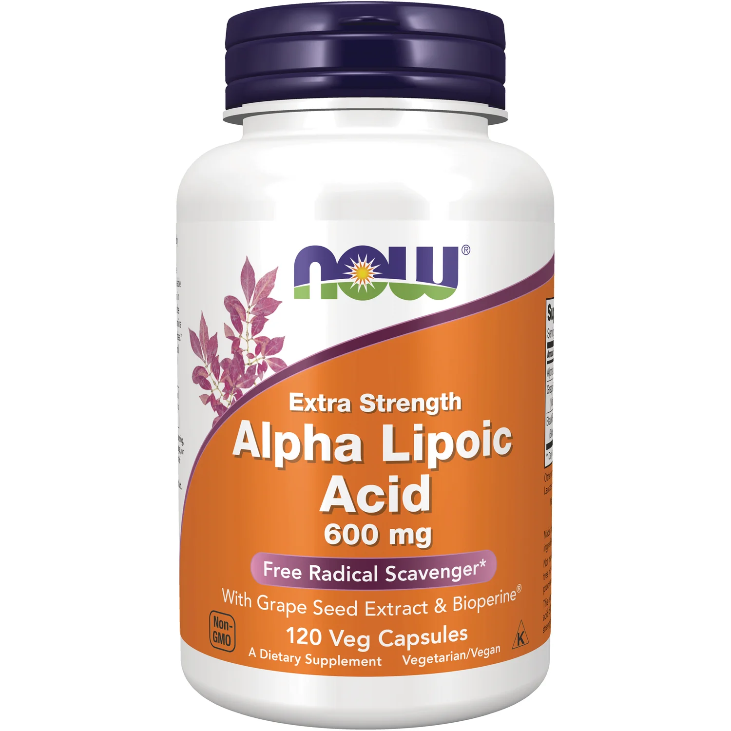 Extra Strength Alpha Lipoic Acid - Image 2