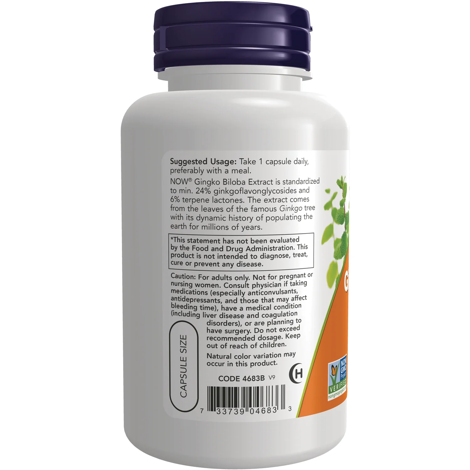Double Strength Ginkgo Biloba - Image 3