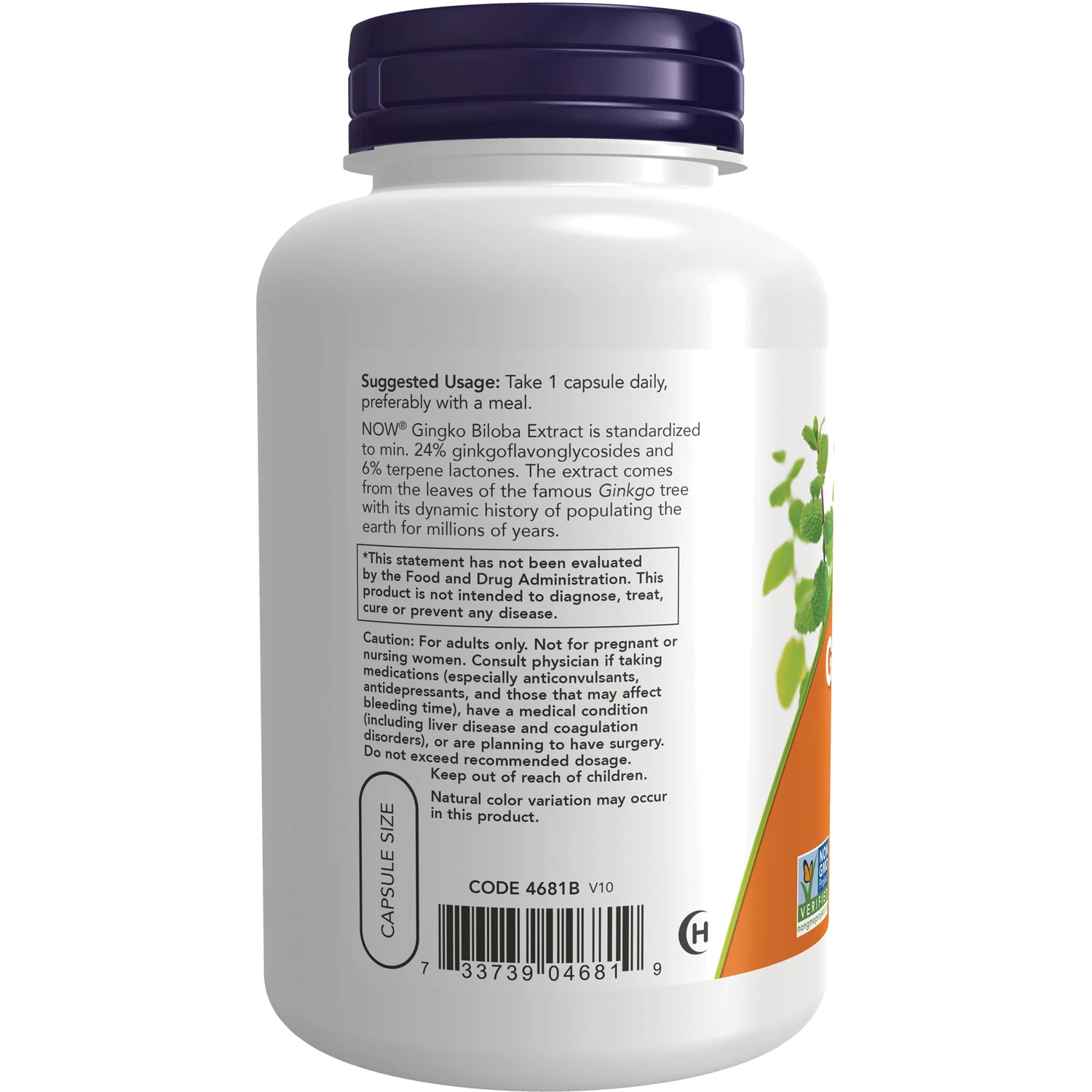 Double Strength Ginkgo Biloba - Image 3