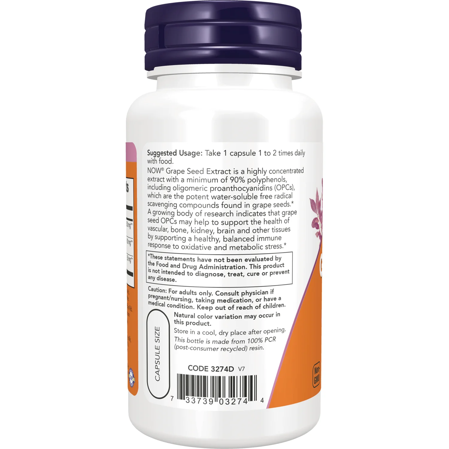 Extra Strength Grape Seed - Image 3