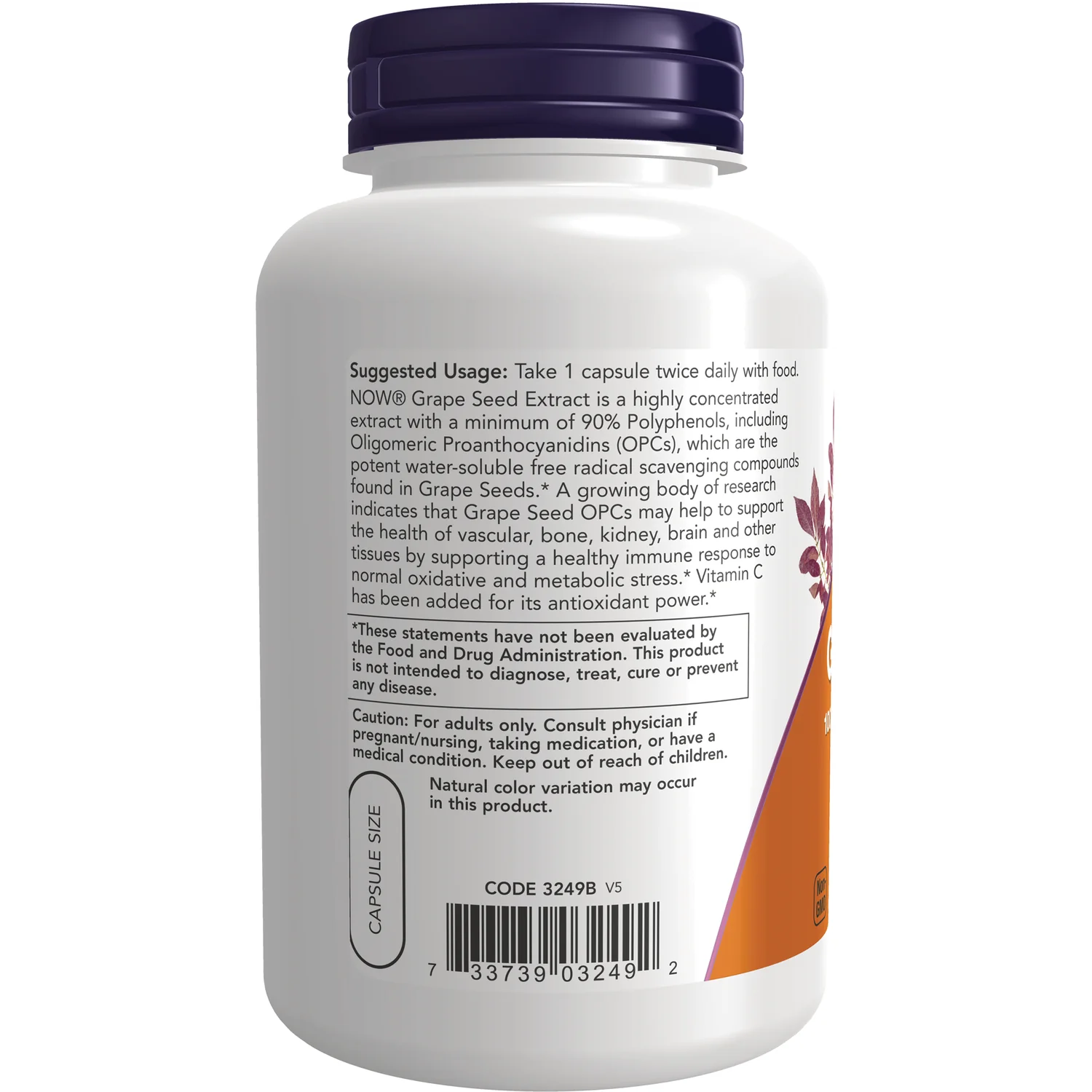 Grape Seed - Image 3