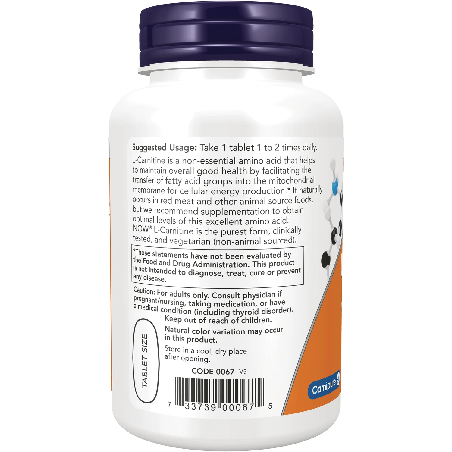 L-Carnitine - Image 3