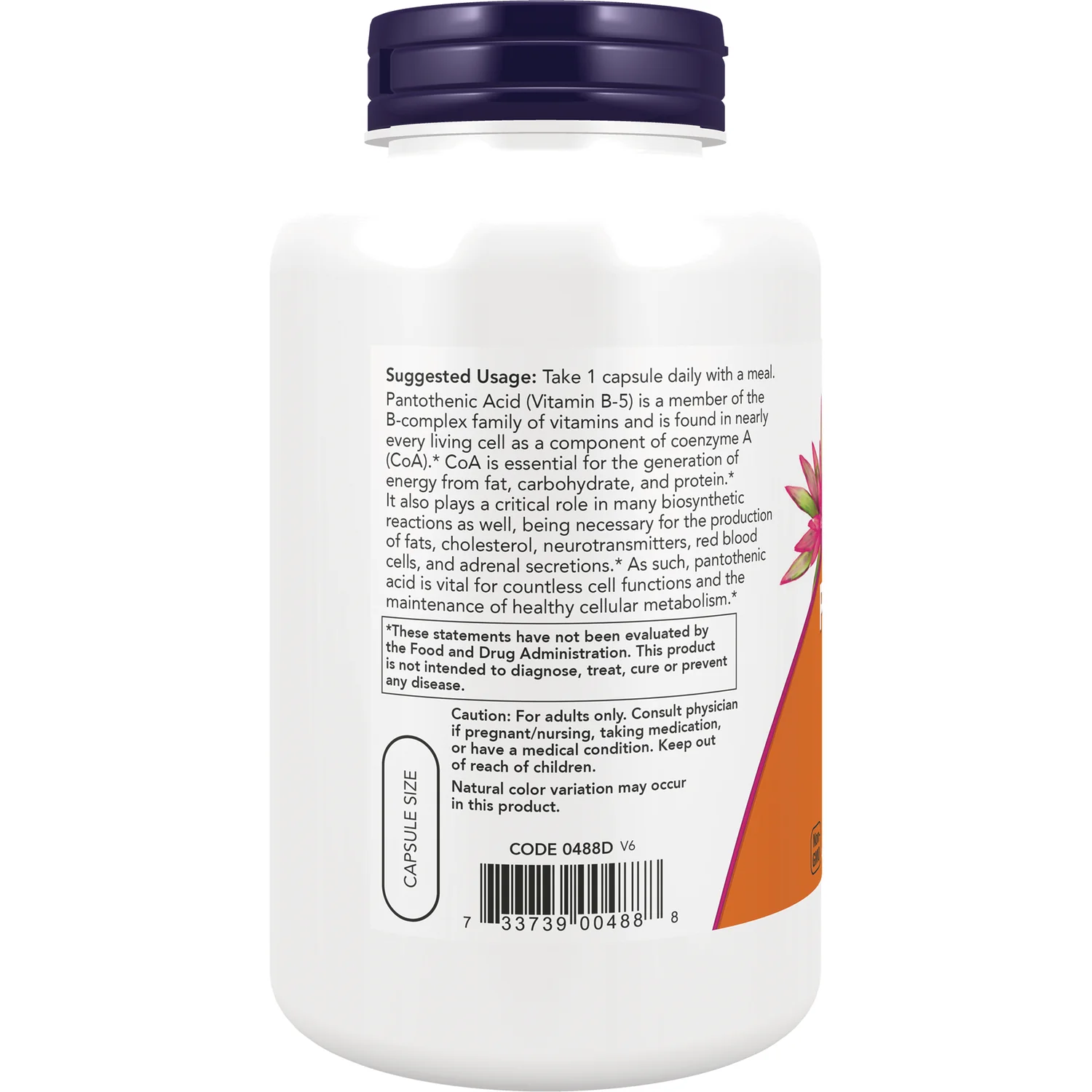Pantothenic Acid - Image 3
