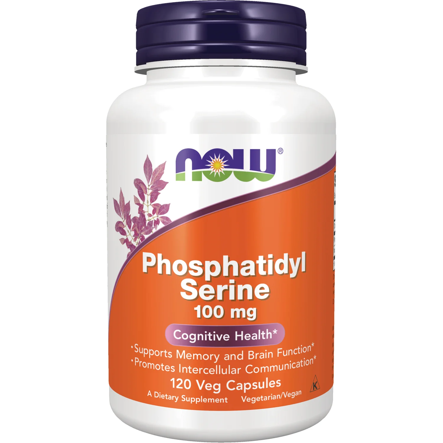Phosphatidyl Serine - Image 2