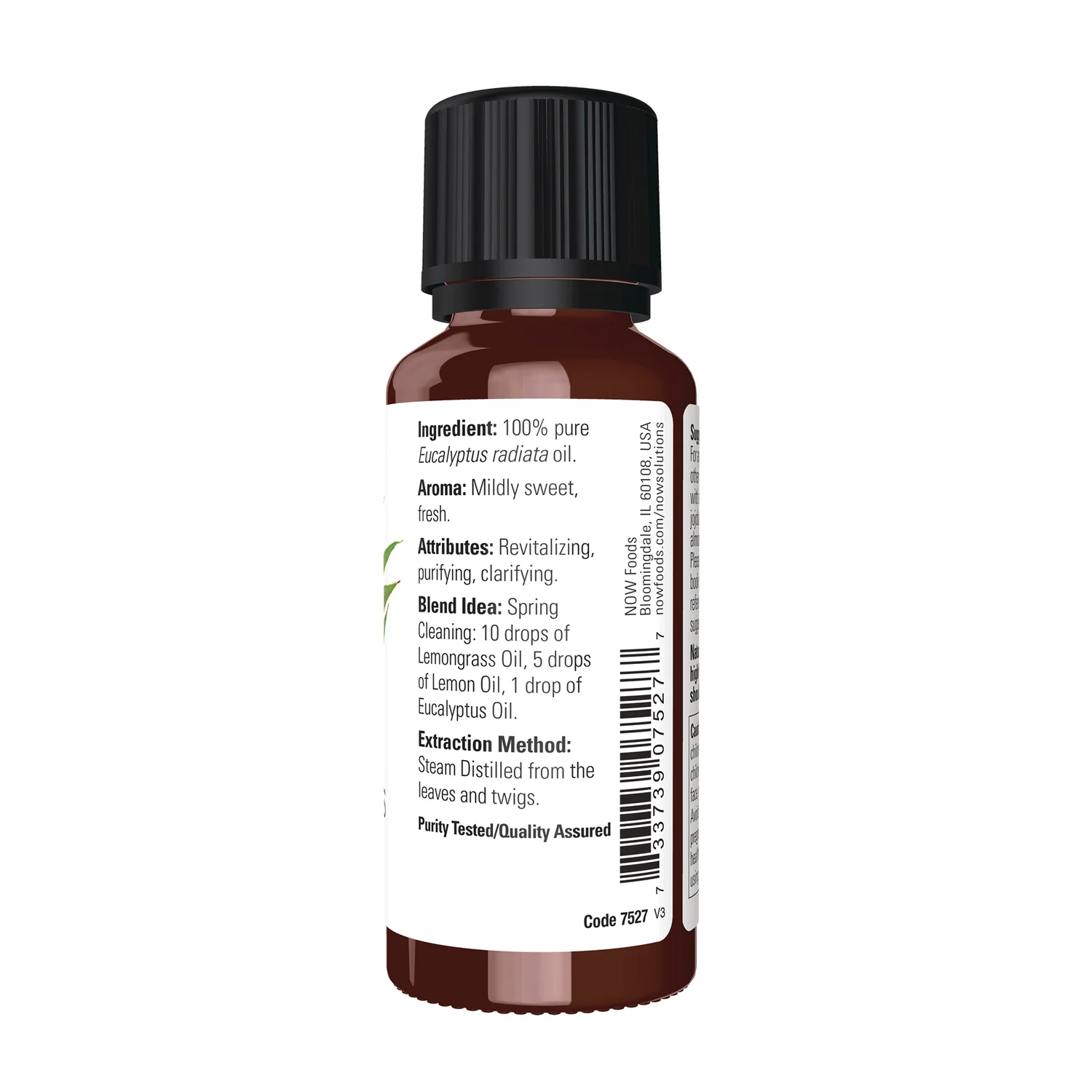 100% Pure Eucalyptus Radiata Oil - Image 2