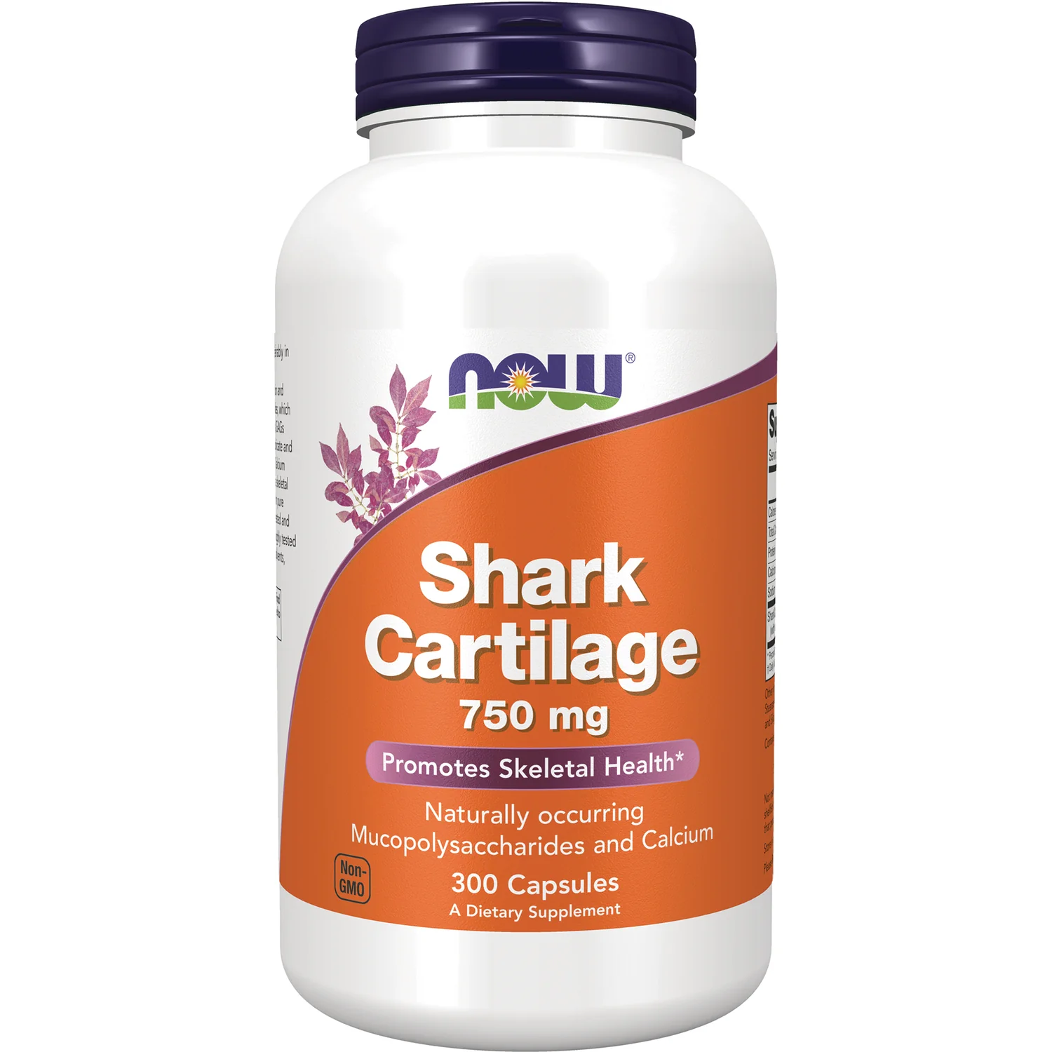 Shark Cartilage - Image 2