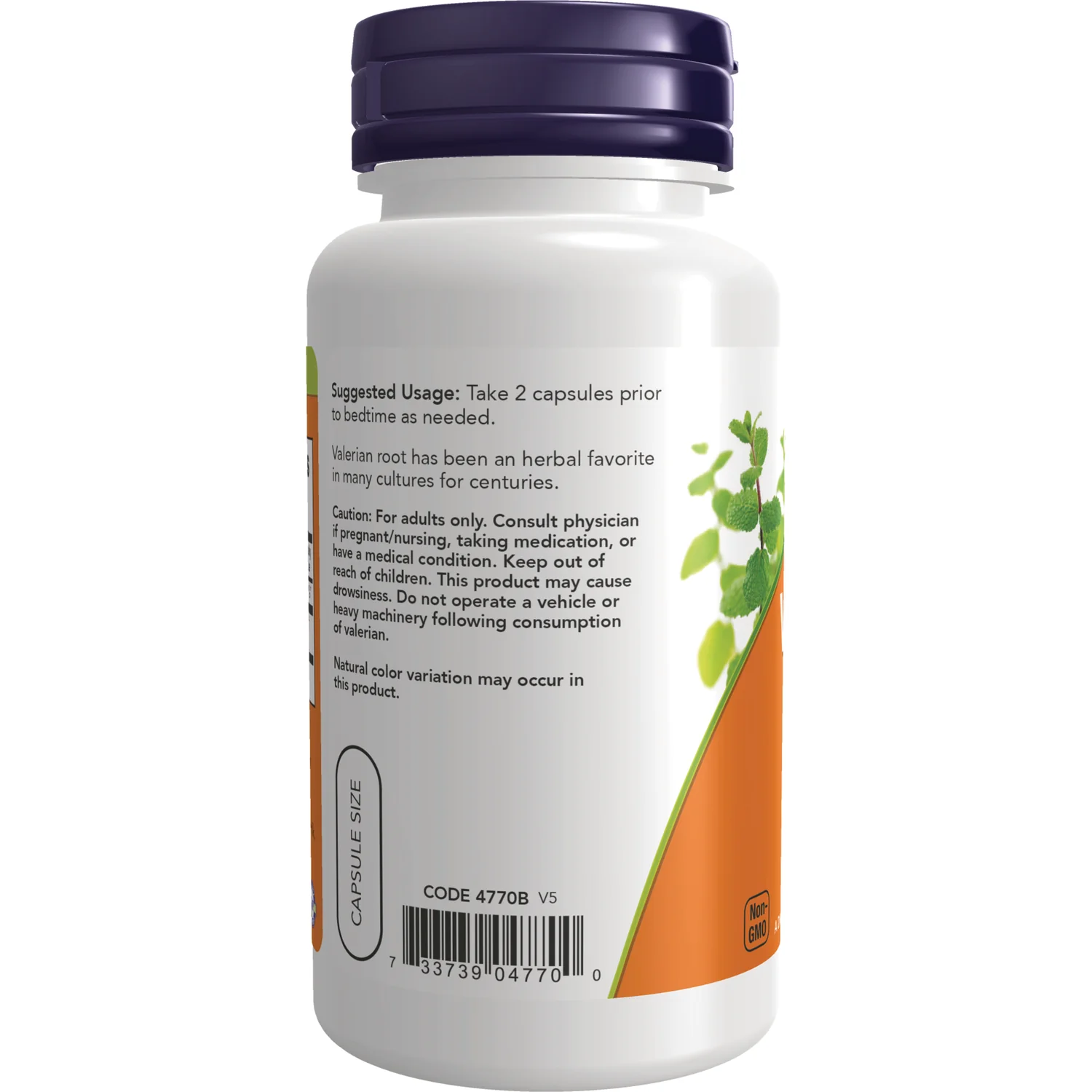 Valerian Root - Image 3