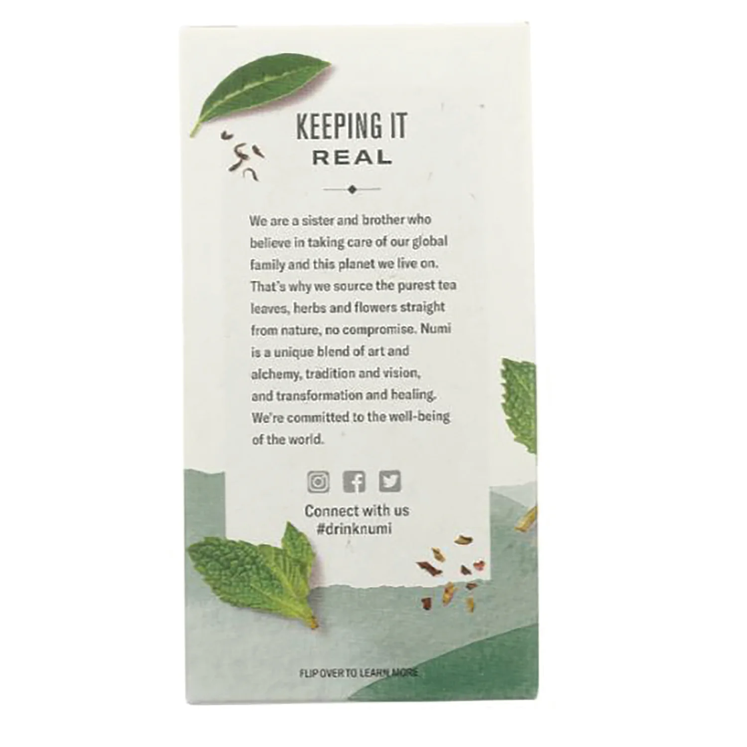 Organic Herbal Teasan - Moroccan Mint - Image 4