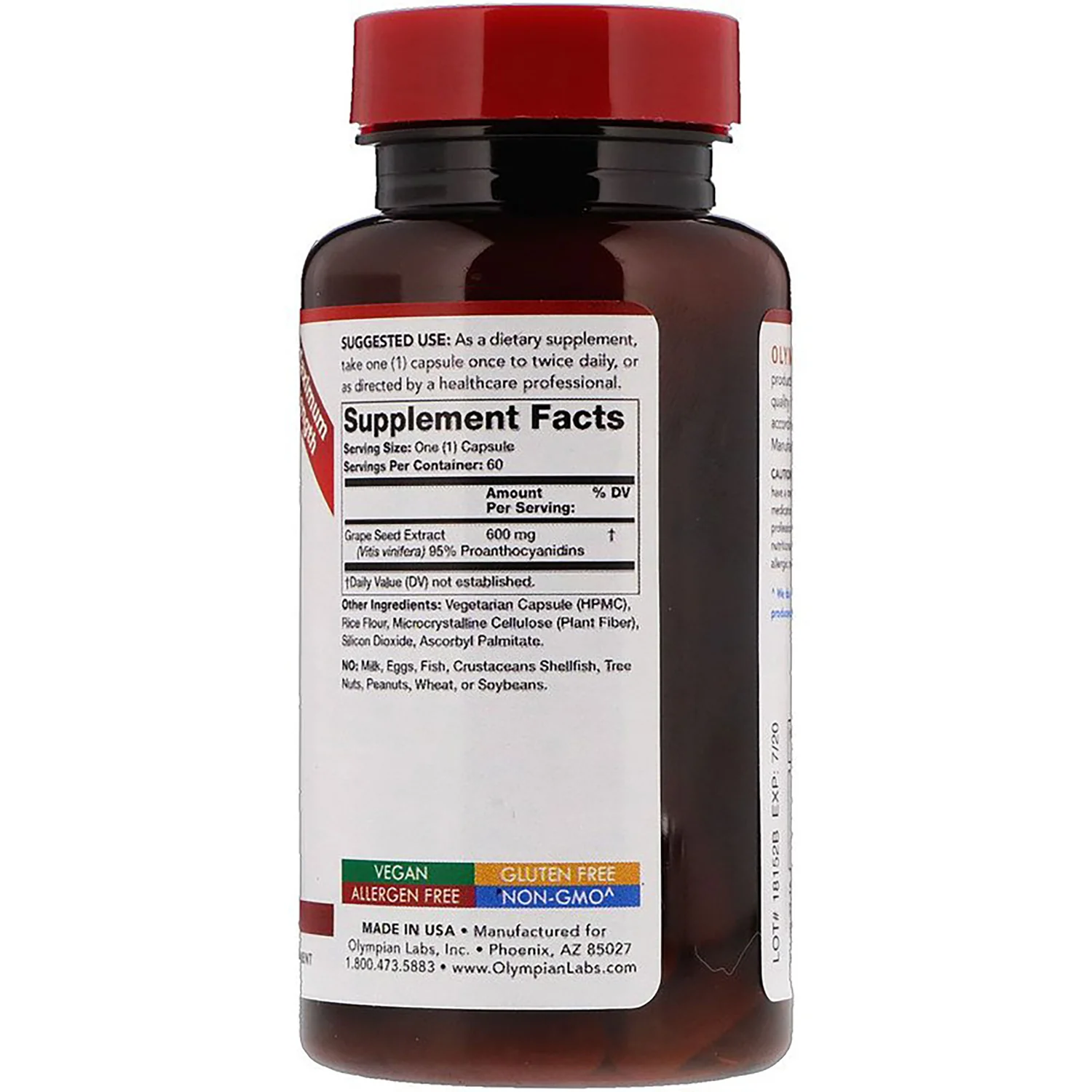 Grape Seed Extract - Maximum Strength - Image 2