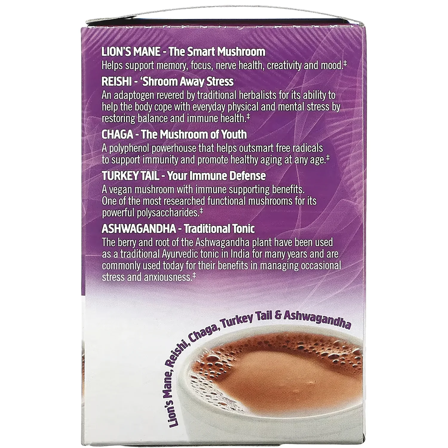Mushroom Hot Chocolate Blend - Image 4