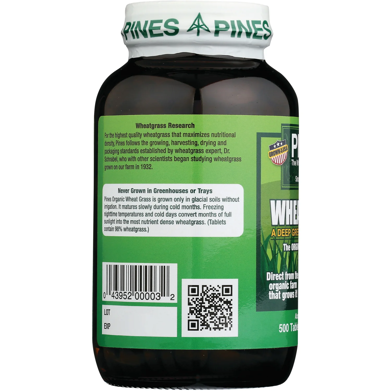 Wheat Grass - Image 4