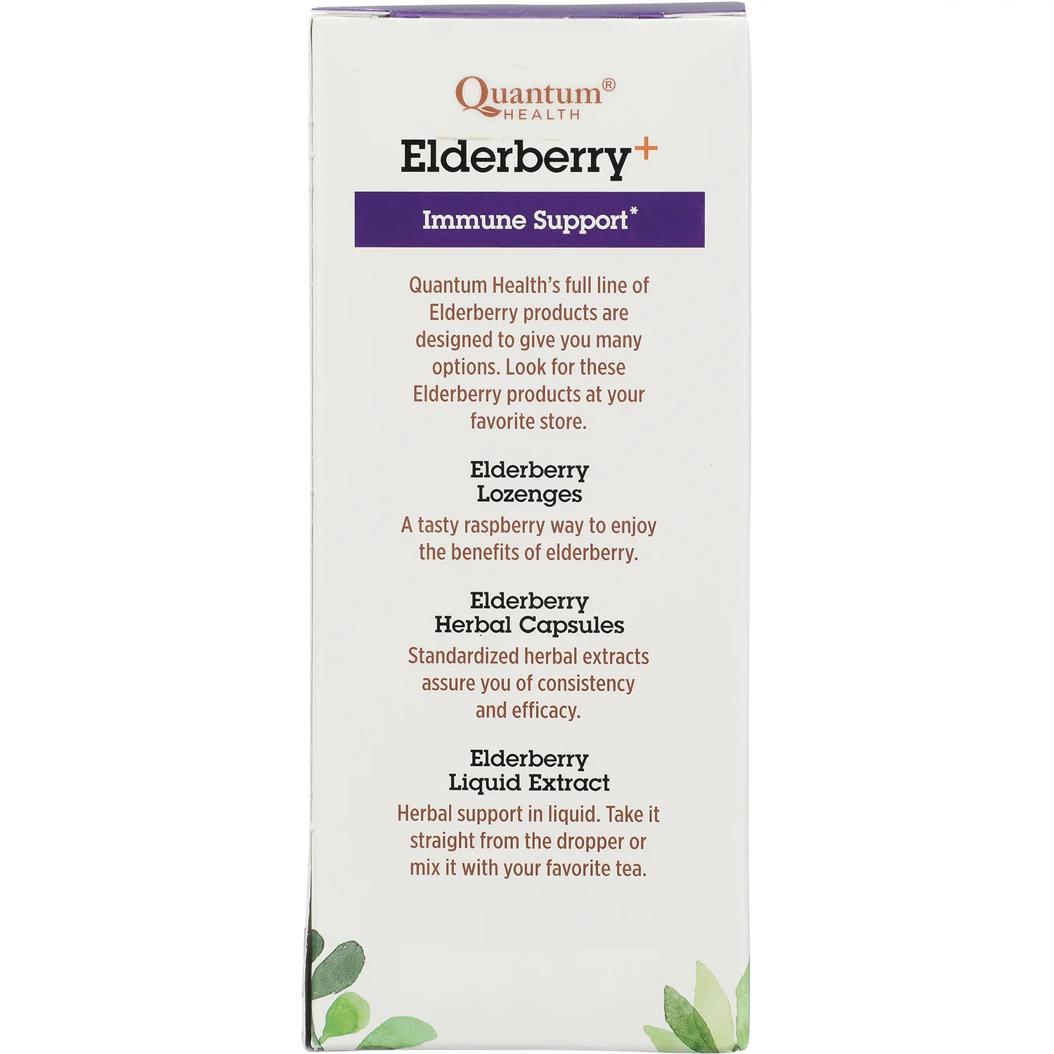 Elderberry+ Syrup - Image 4