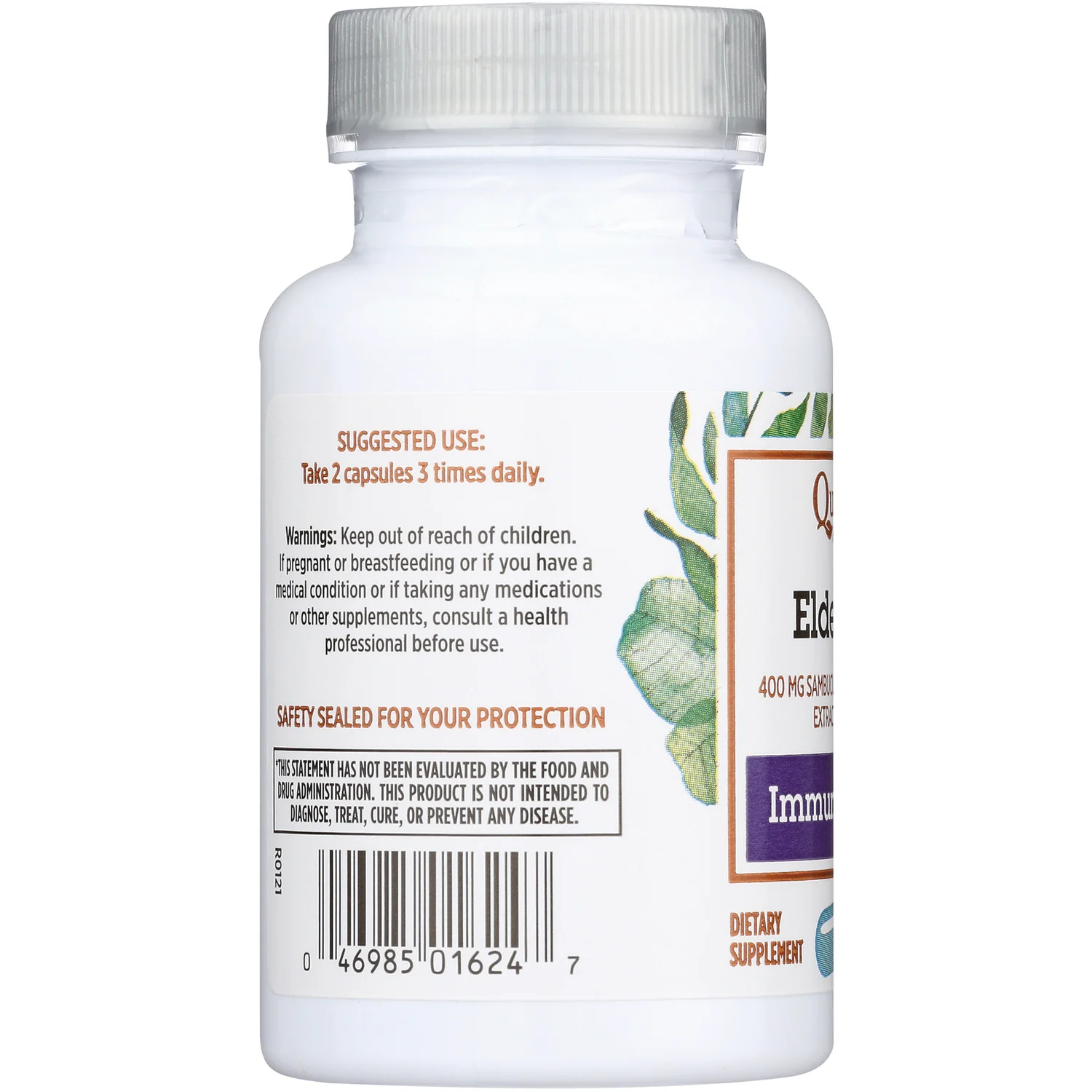 Elderberry - Image 3