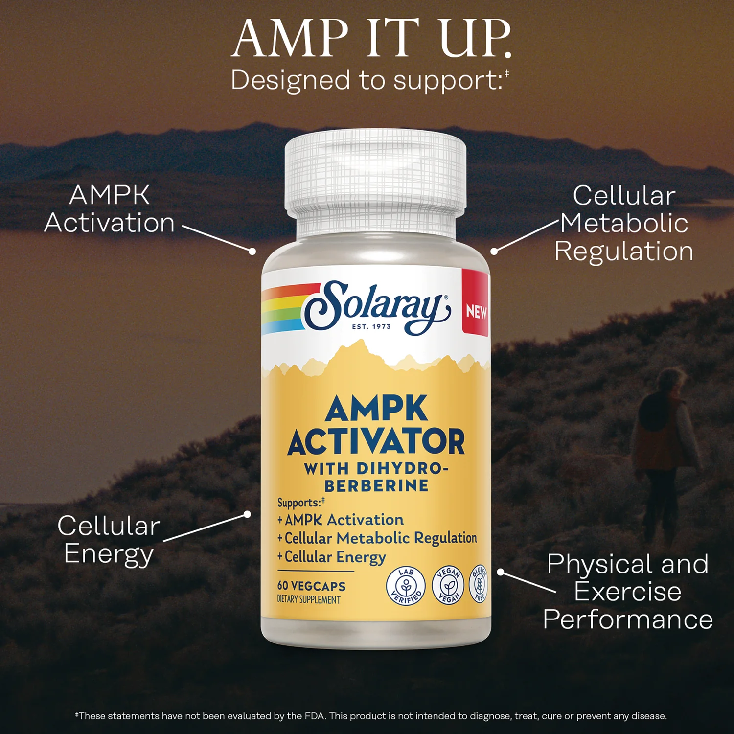 AMPK Activator with Dihydro-Berberine - Image 3