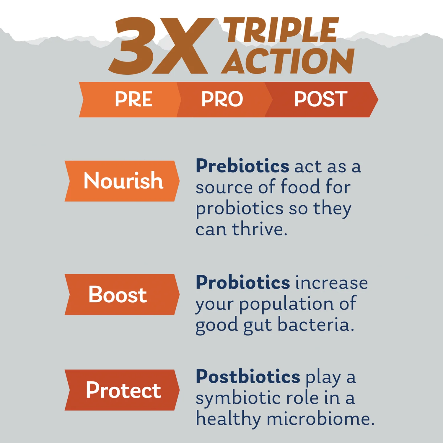 Mycrobiome Complete Probiotic Active - Image 3