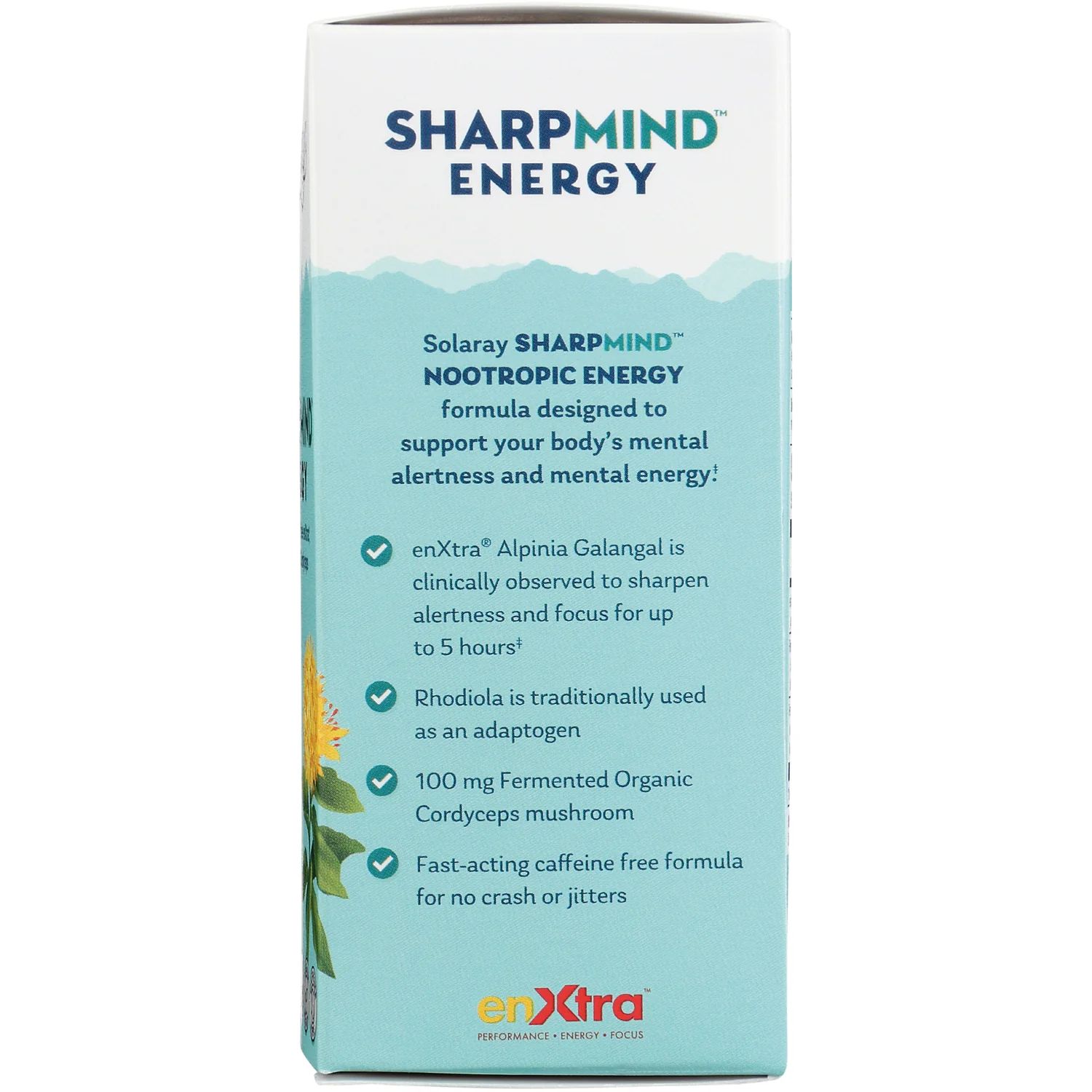 SharpMind Energy - Image 4