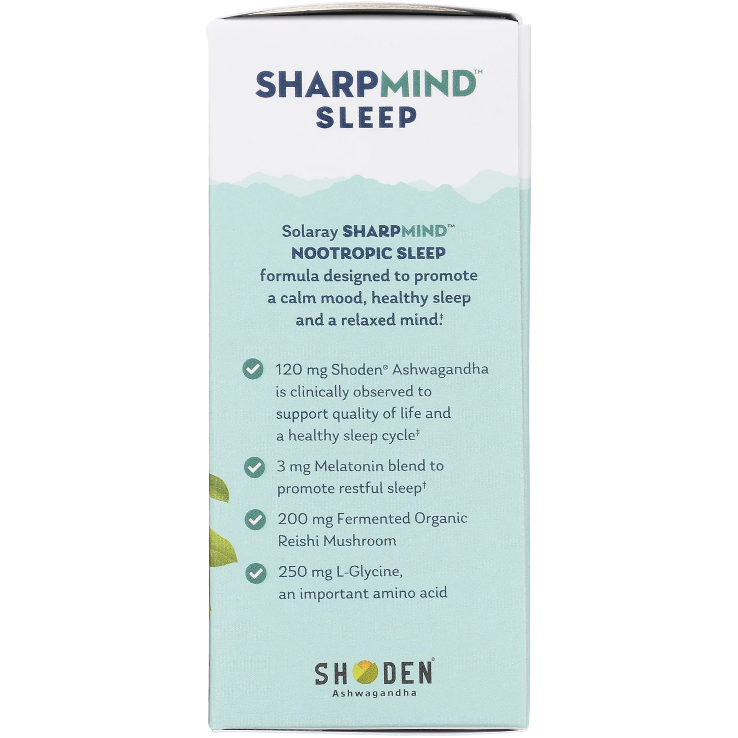 SharpMind Sleep - Image 4