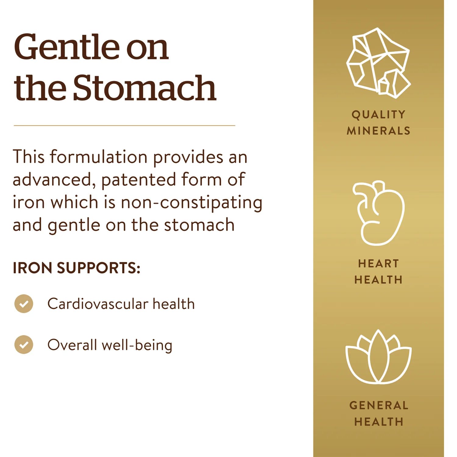 Gentle Iron - Image 2