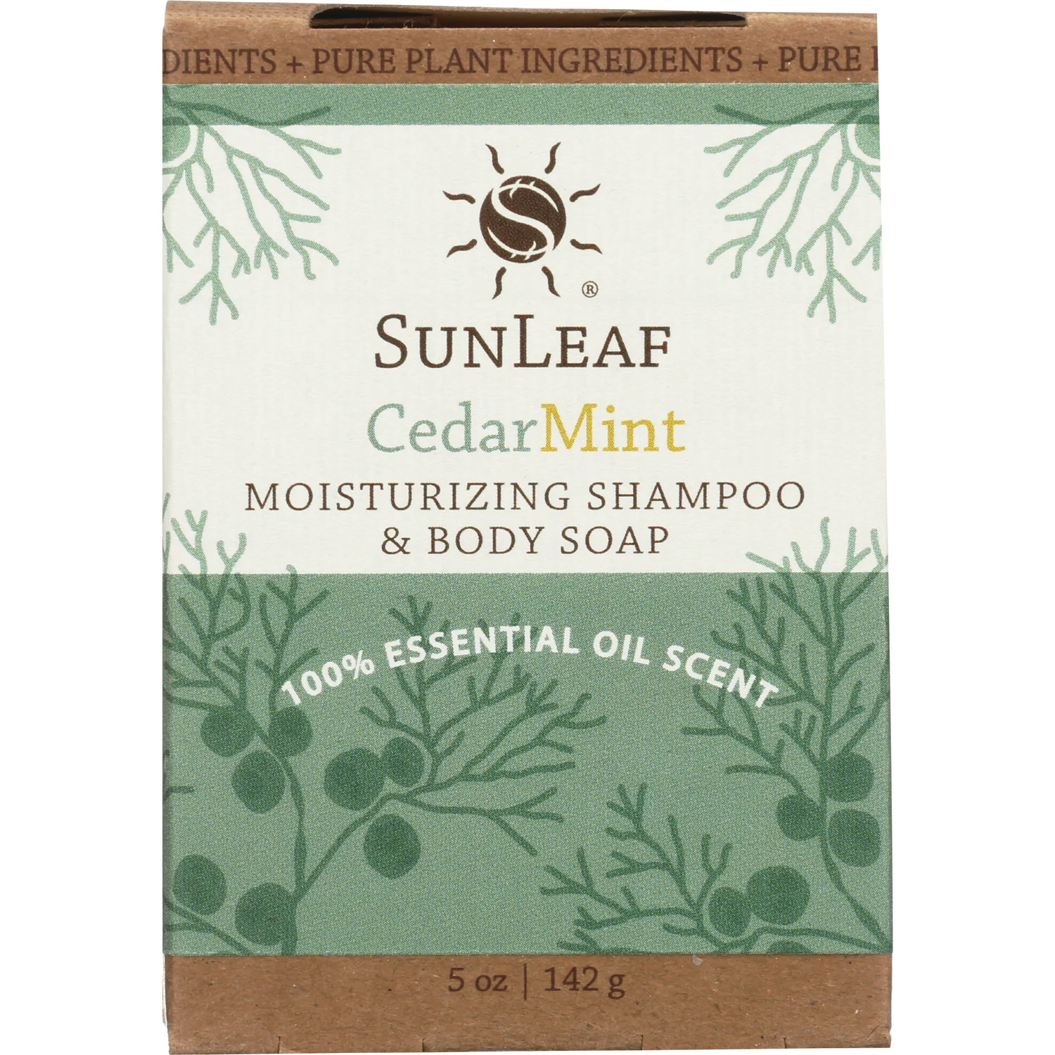 Moisturizing Shampoo and Body Soap - Image 3