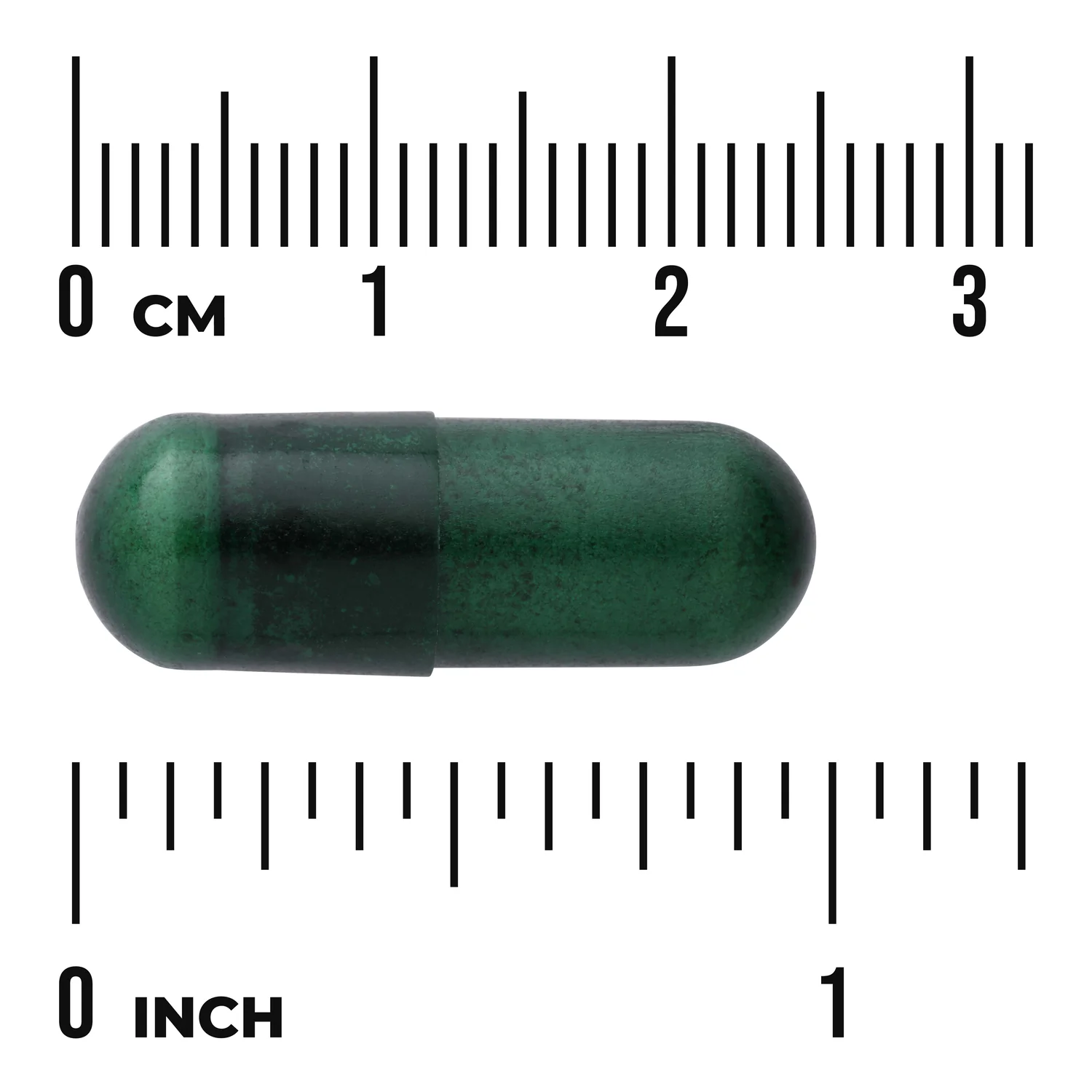 Brain Essentials - Image 3