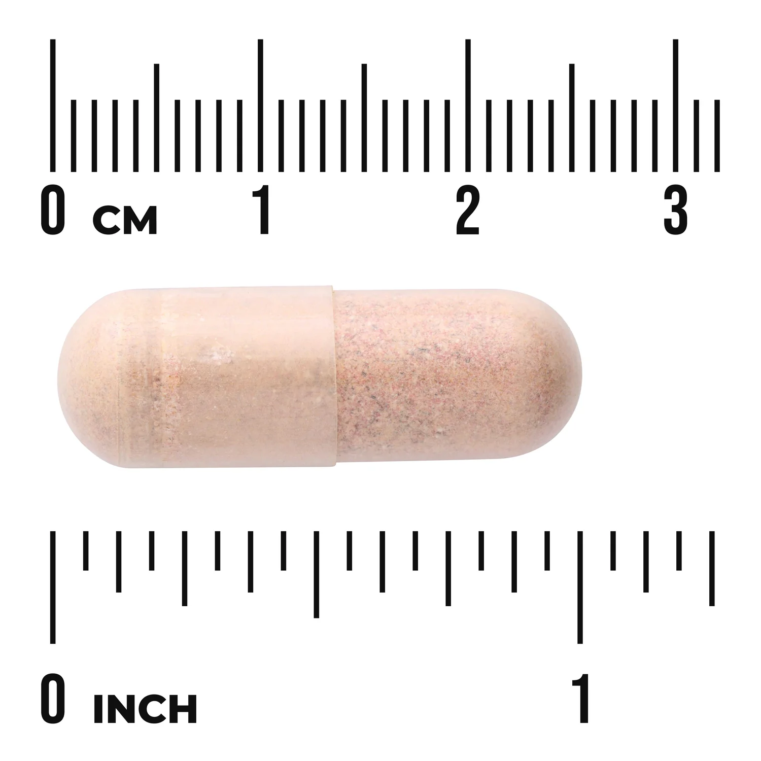 Kidney Essentials - Image 3