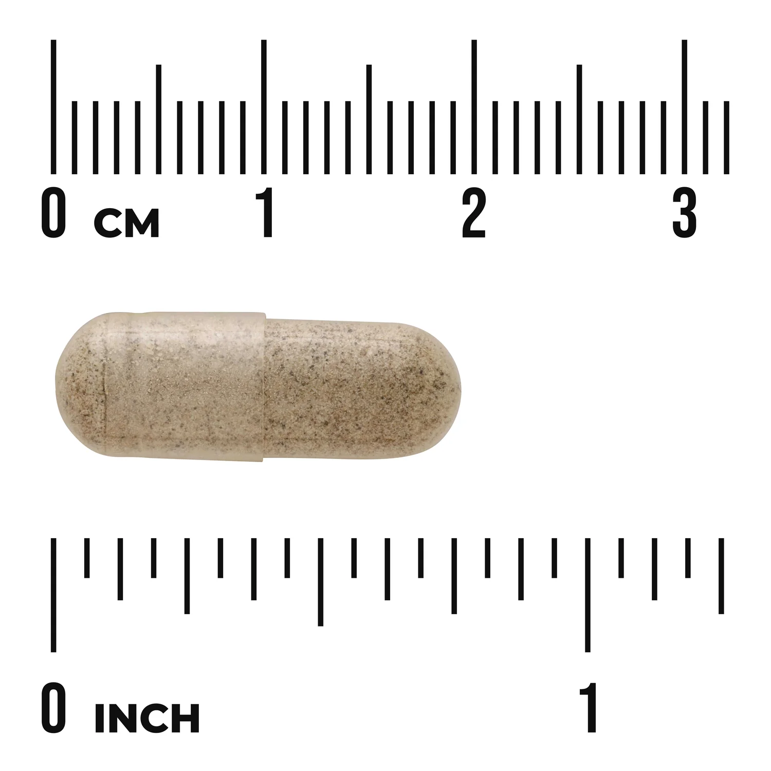 Bacopa Monnieri - 10:1 Extract - Image 3