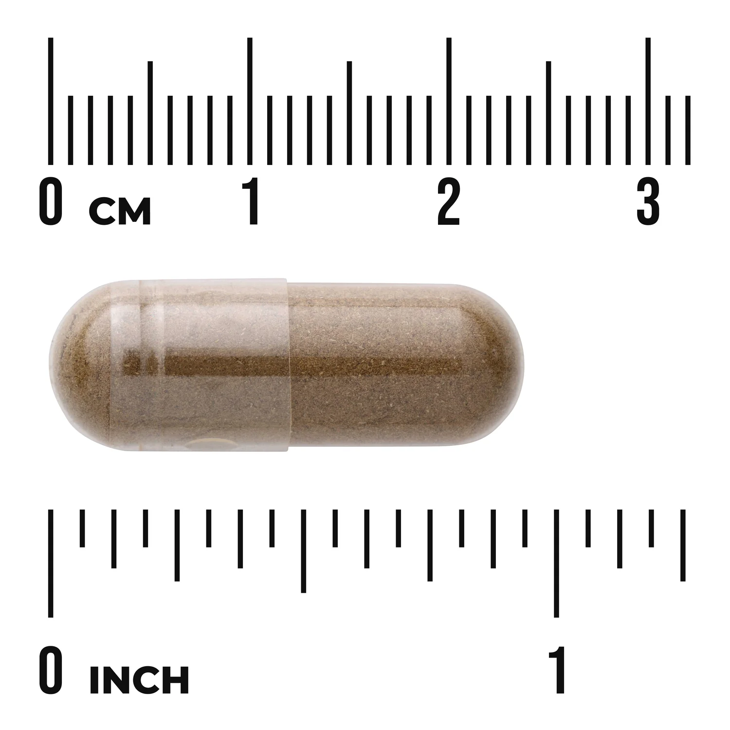 Celery Seed - Maximum Strength - Image 3