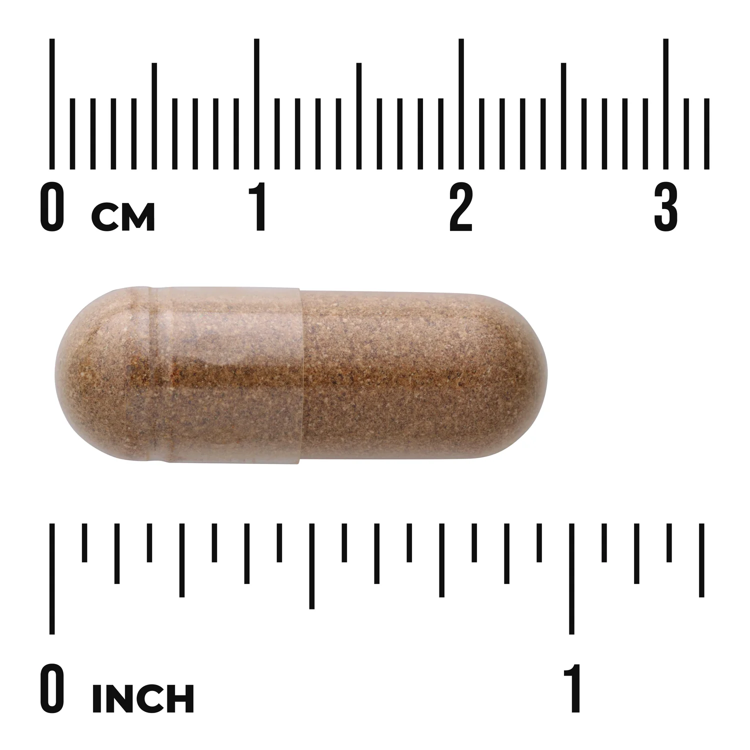 Cordyceps - Image 3