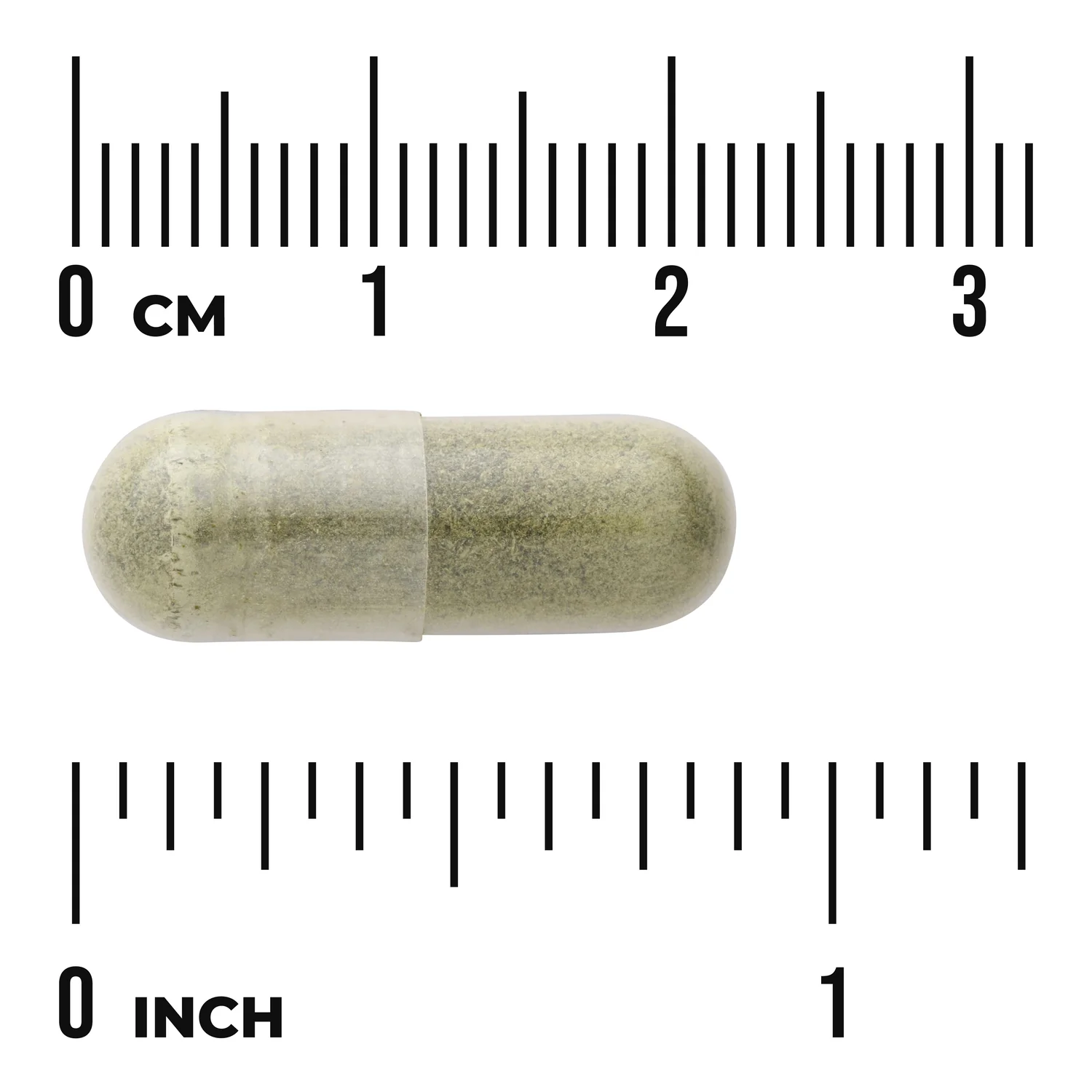 Avena Sativa - Image 3