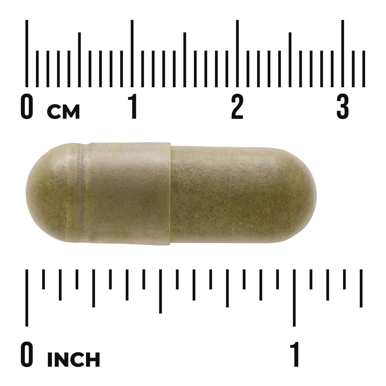 Full Spectrum Moringa Oleifera - Image 3