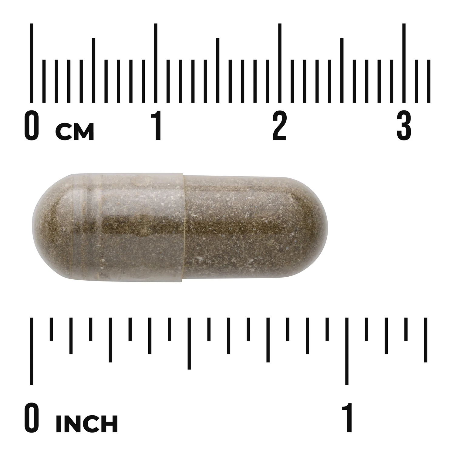 Full Spectrum Sweet Wormwood (Artemisia annua) - Image 3
