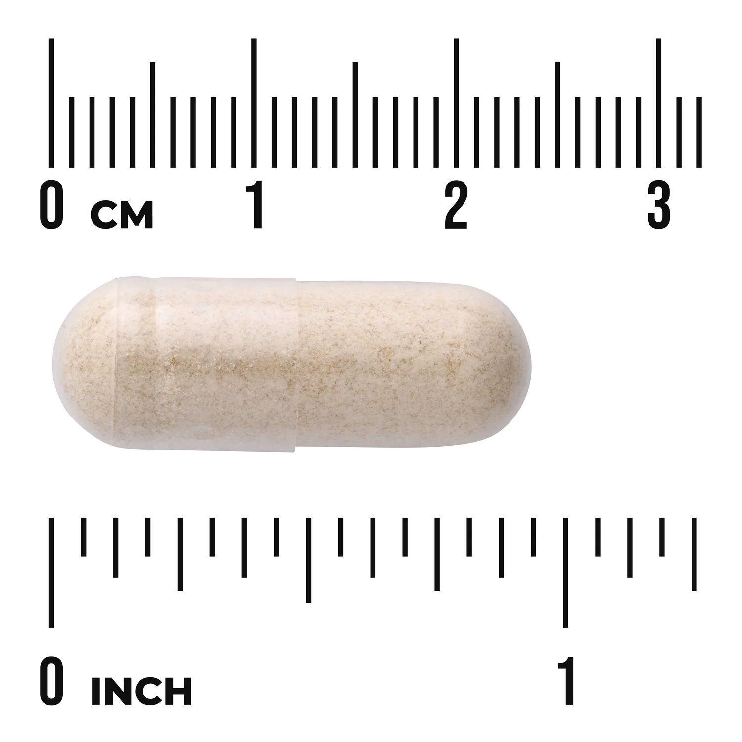 Organic Lion's Mane Mushroom - Image 3
