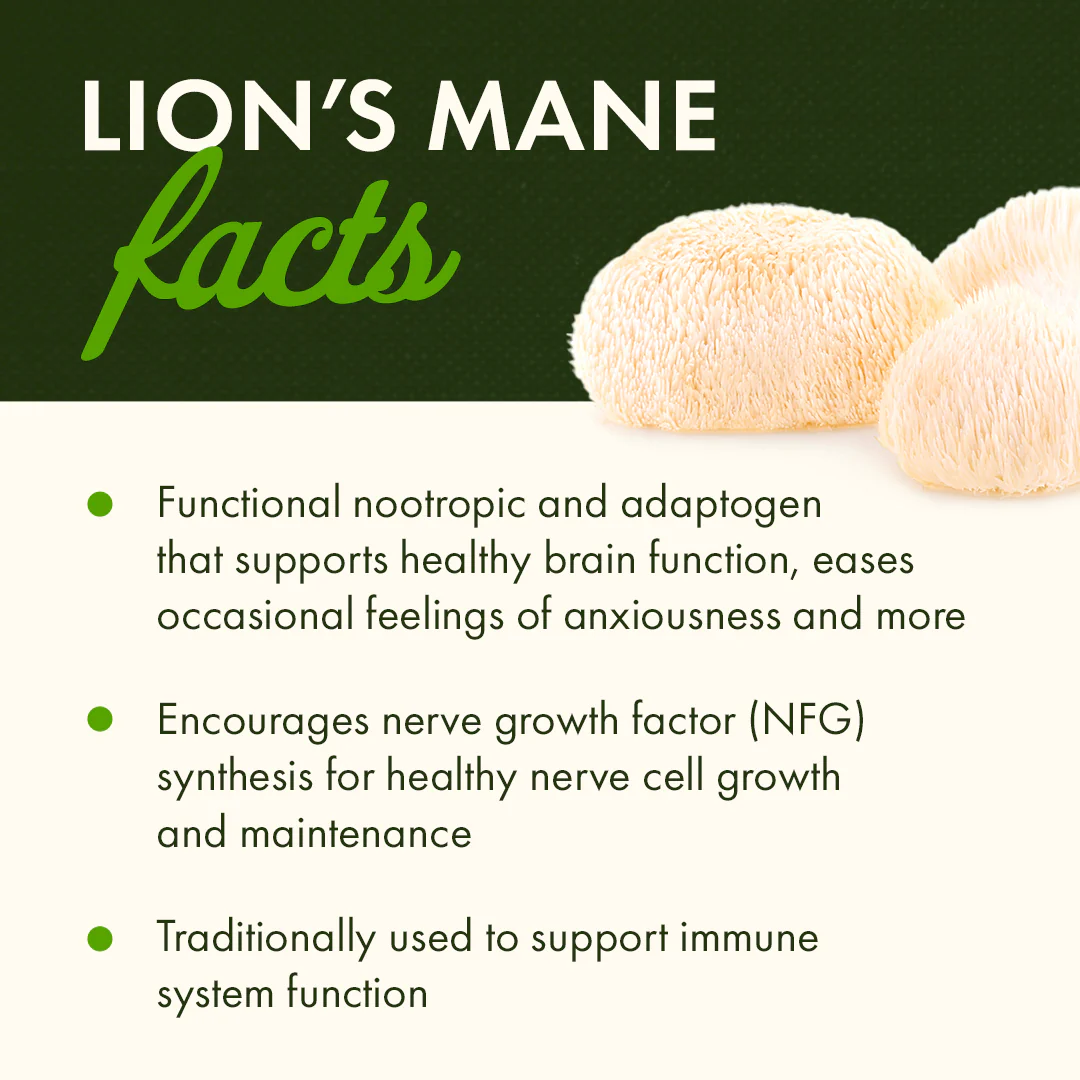 Organic Lion's Mane Mushroom - Image 5