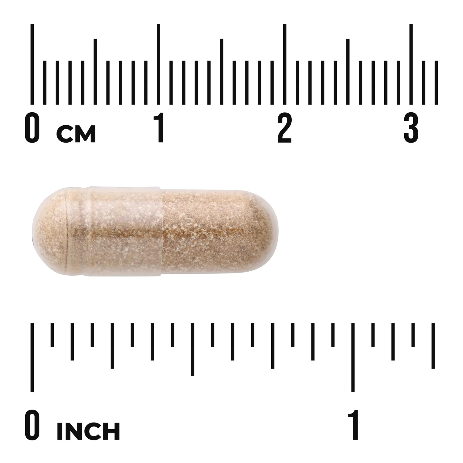 Lung Glandular - Image 3