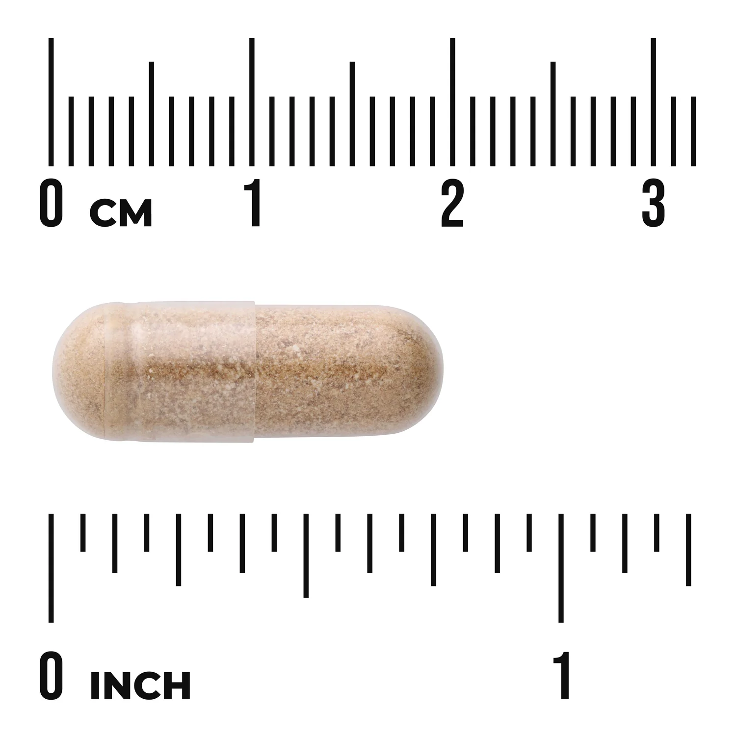 Spleen Glandular - Image 3