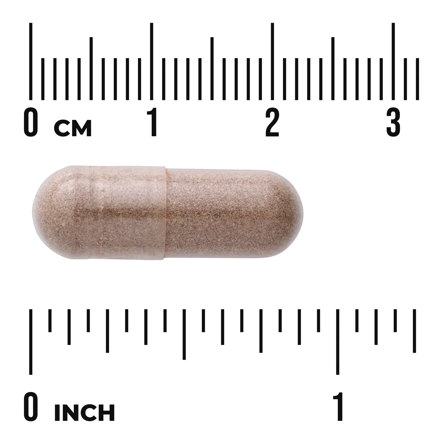 Full Spectrum Saw Palmetto - Image 3