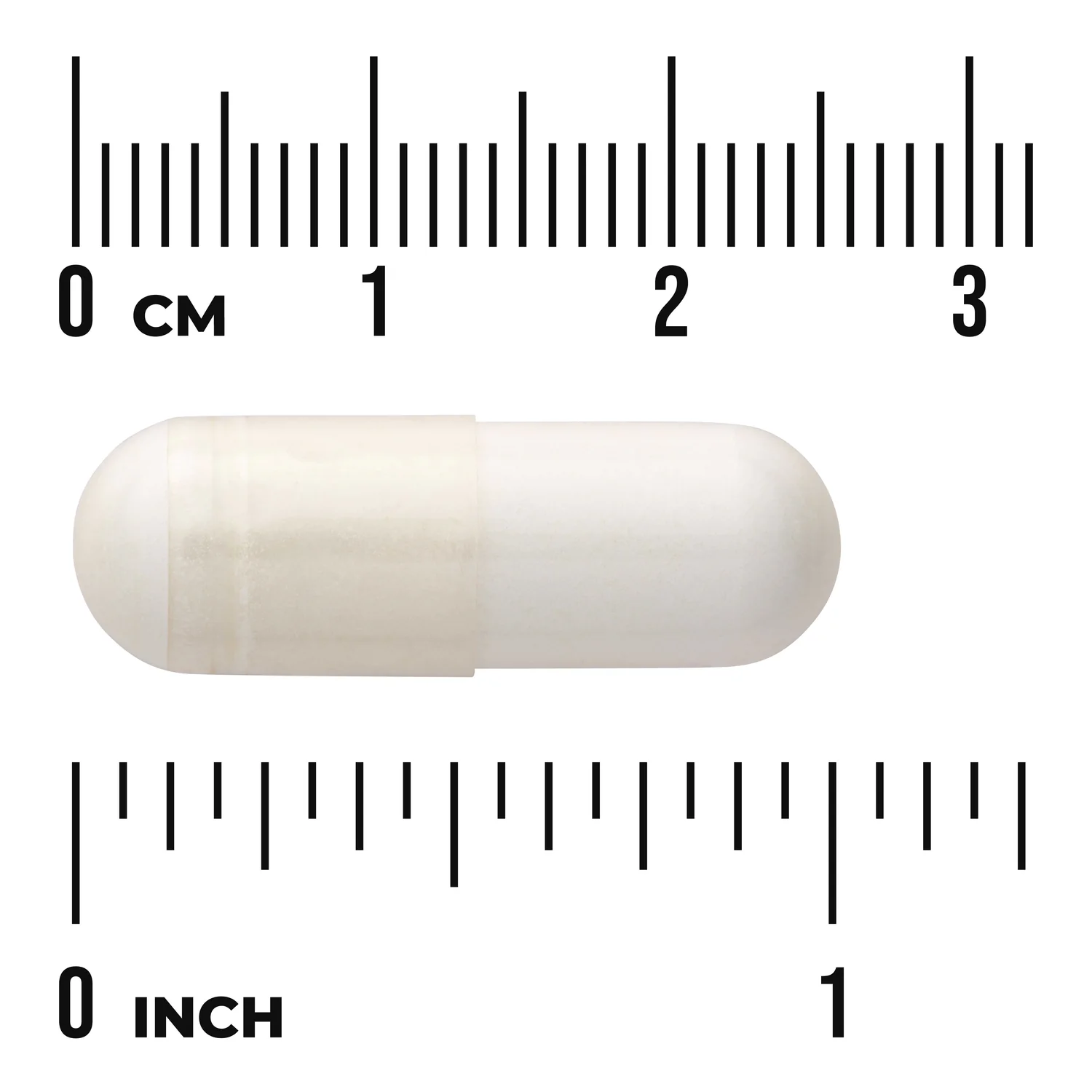 Shark Cartilage - Image 3