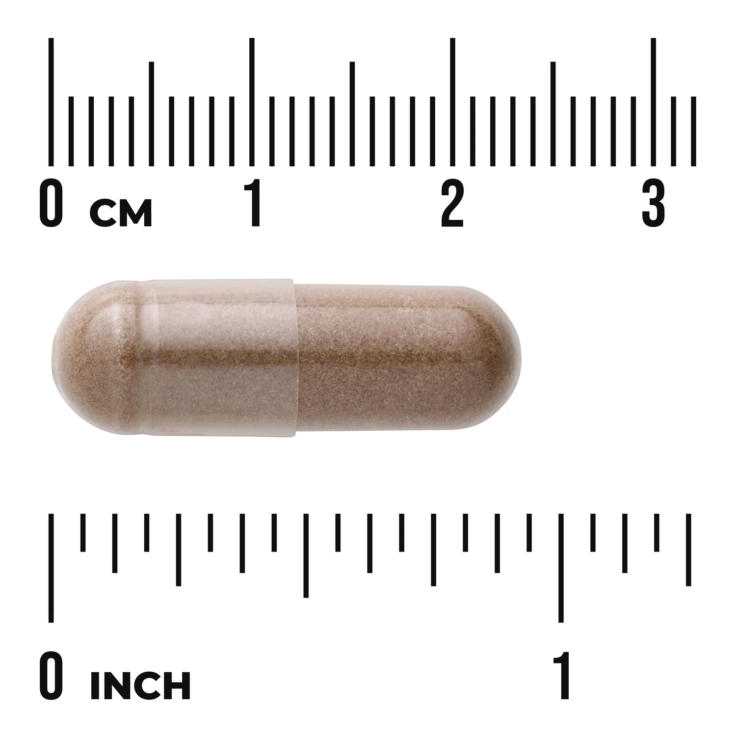Astragalus - Standardized - Image 3