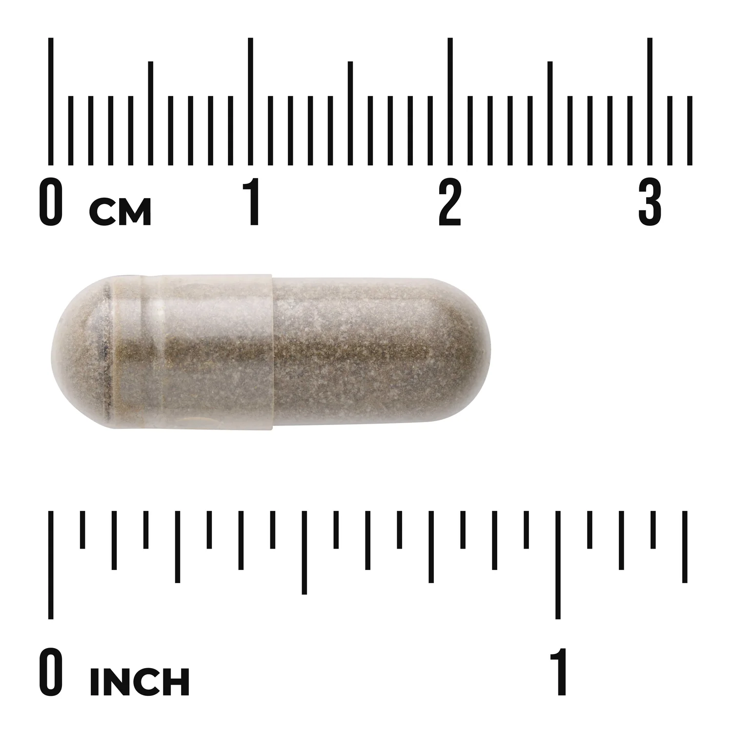 Bacopa Monnieri - Image 3