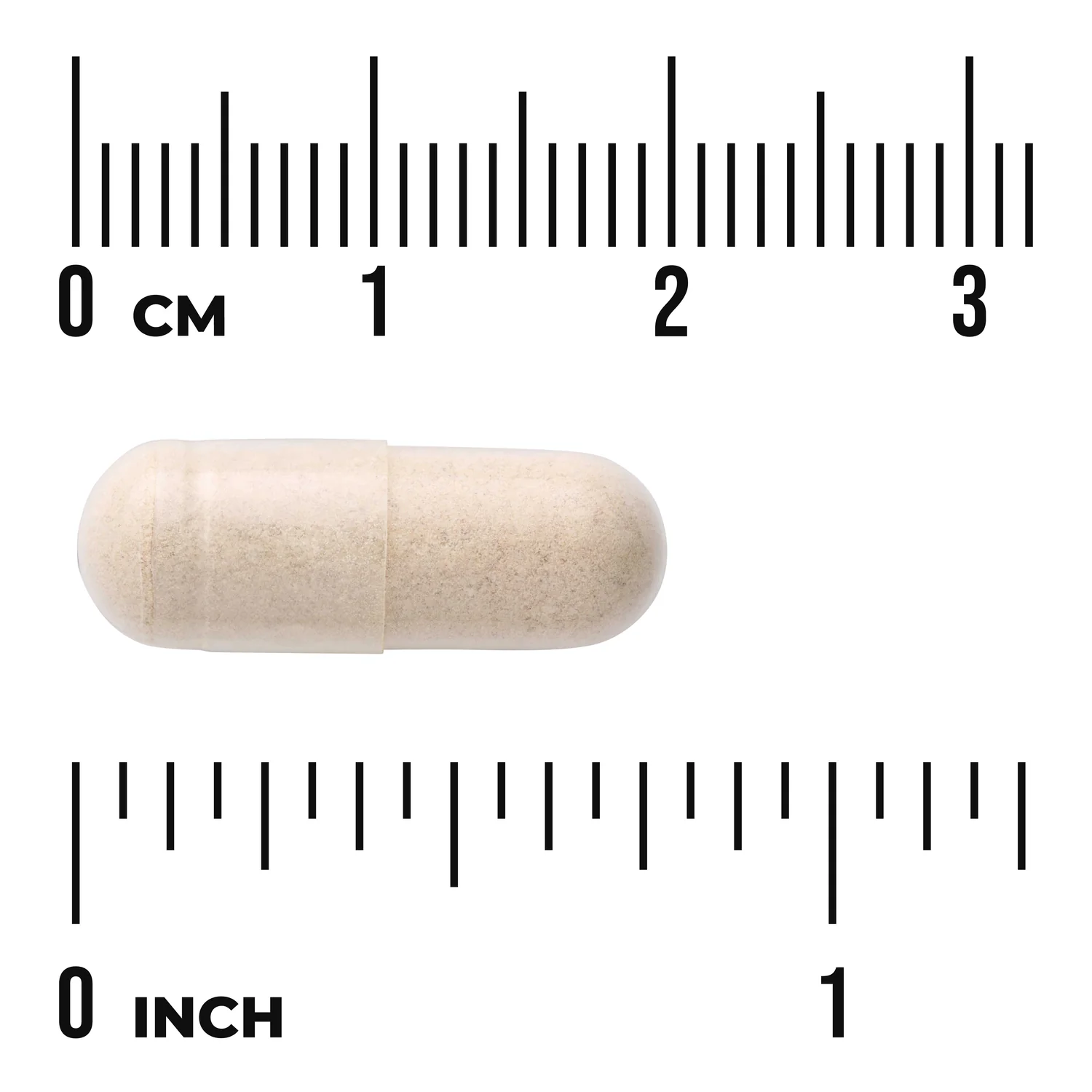 Blueberry Extract - Standardized - Image 3